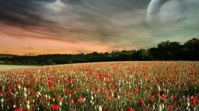 有一个***约你出去，你会去吗？